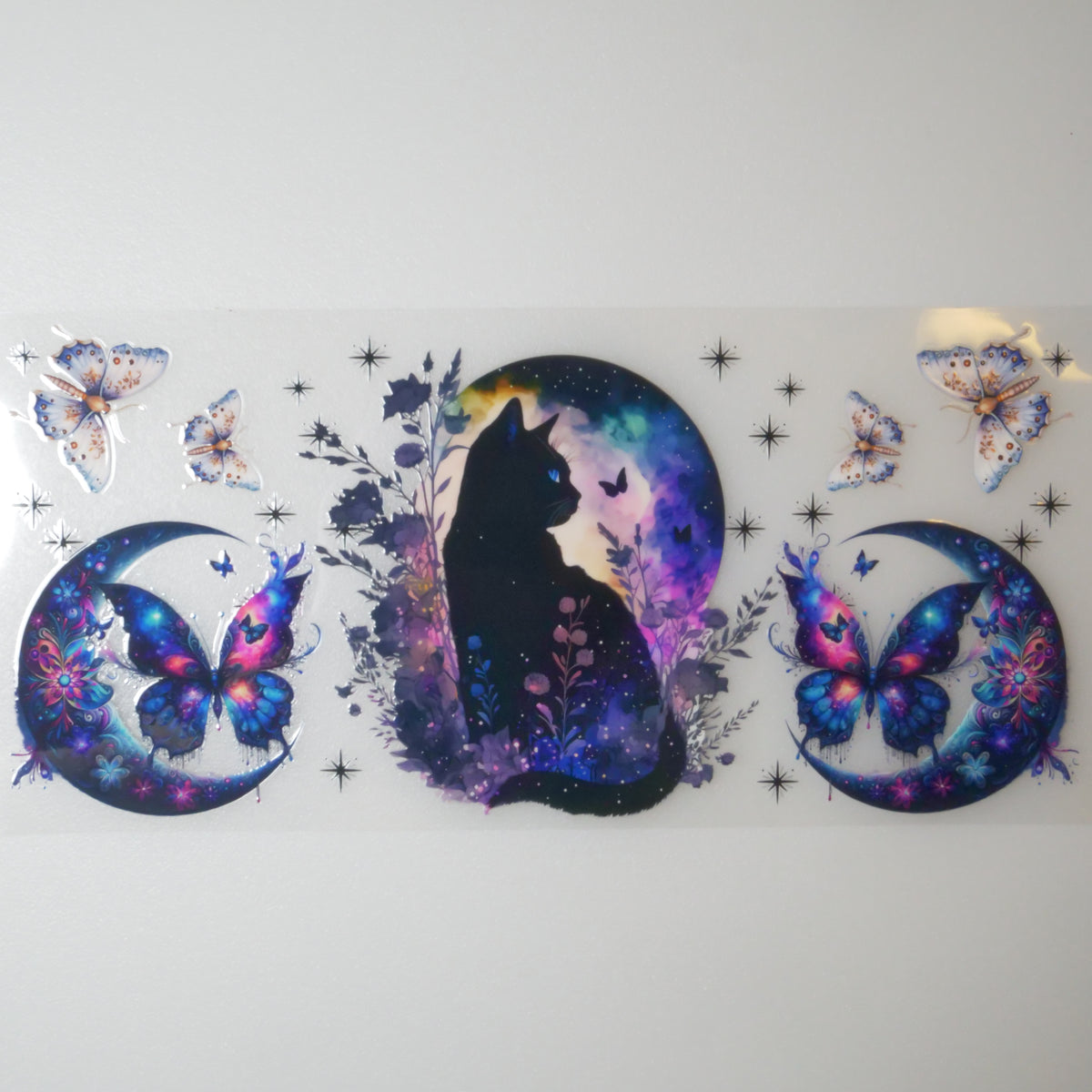 Animals-Cat-Design4