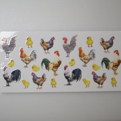 Farm-chicken-Design1