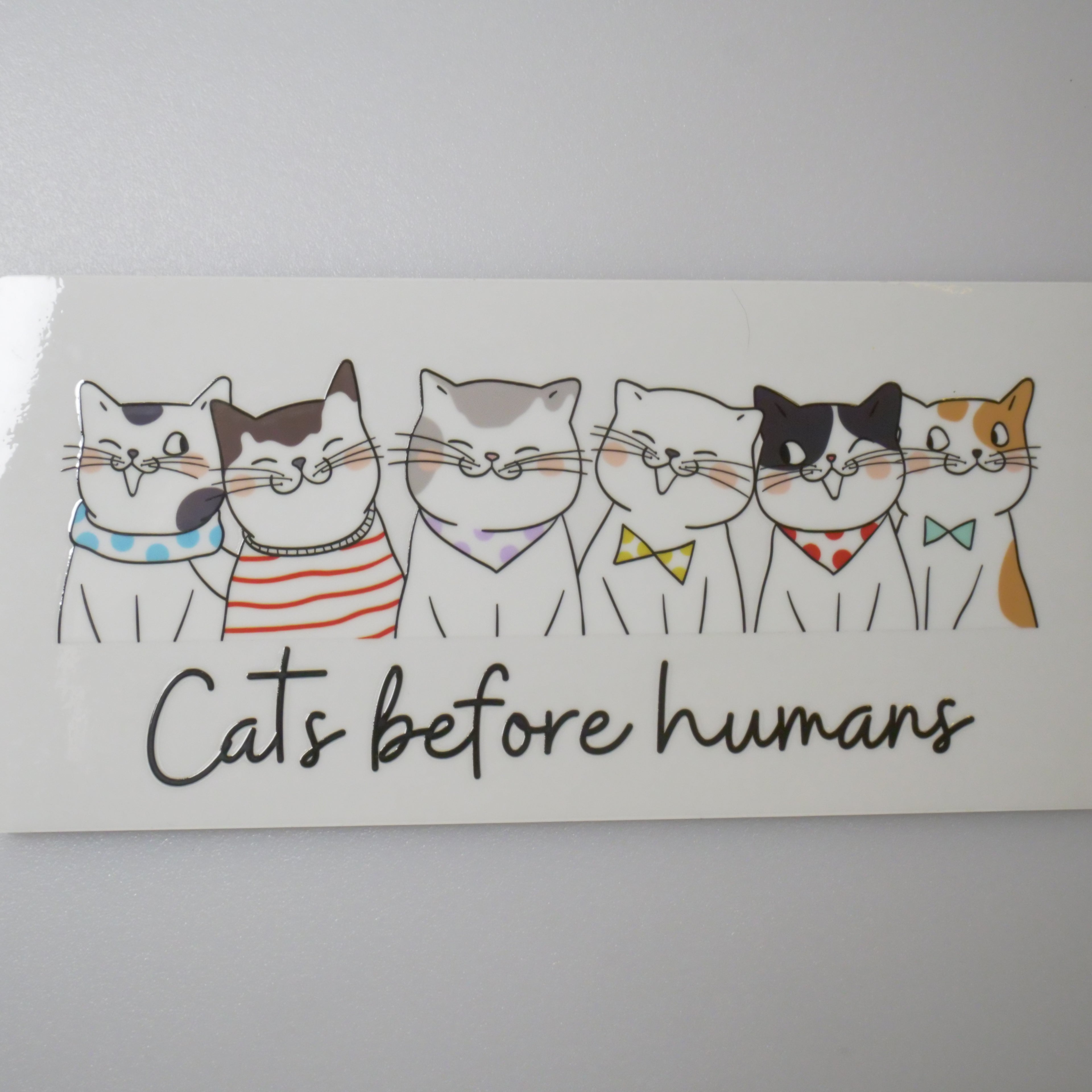 Animals-Cat-Design2