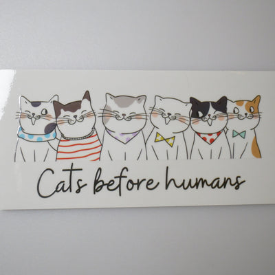 Animals-Cat-Design2