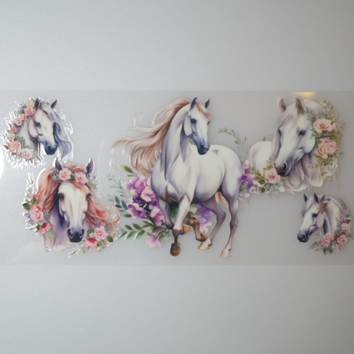 Animals-Horse-Design1